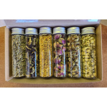 Gift Pack #2 (6 in 1)