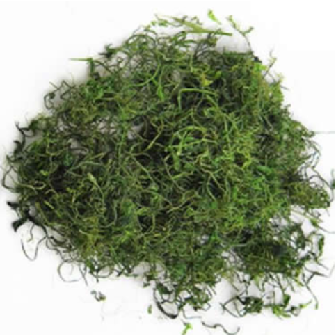 Jiaogulan (Gynostemma) tea Jiaogulan (Gynostemma) tea