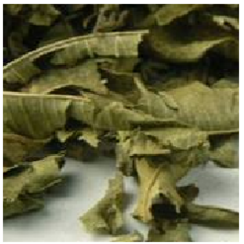Lemon Verbana Lemon Verbana