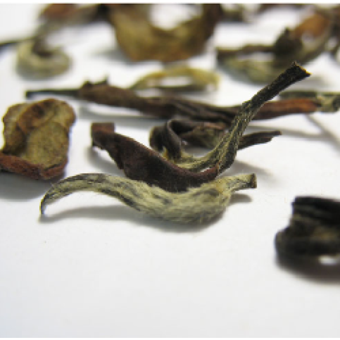 Oriental Beauty Oolong