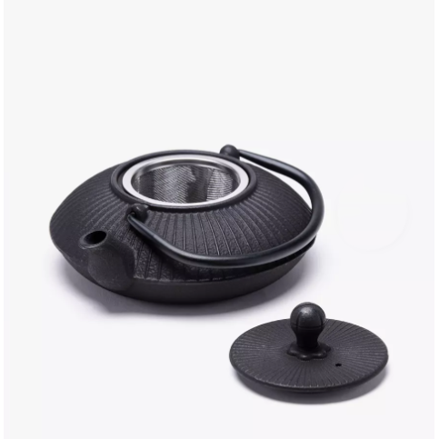 cast iron teapot (Marugata)