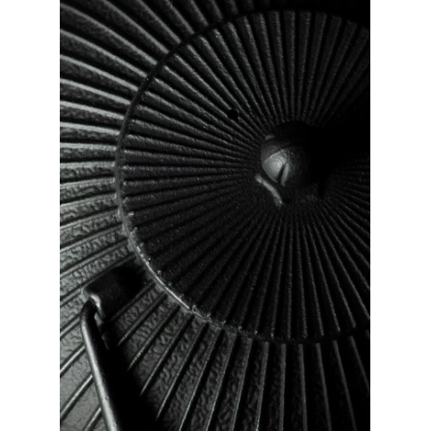 cast iron teapot (Marugata)